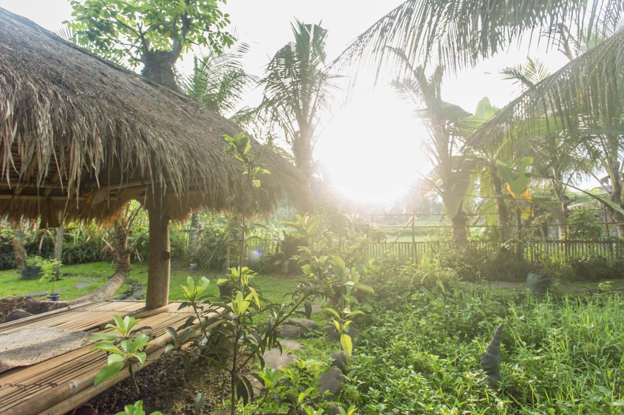 Ubud Luwih Nature Retreat Esterno foto