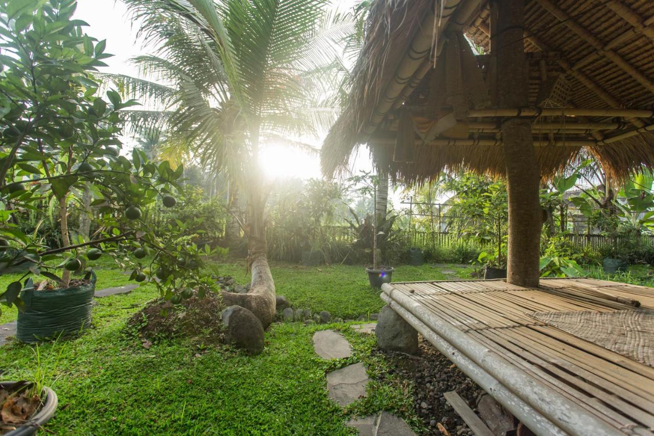 Ubud Luwih Nature Retreat Esterno foto