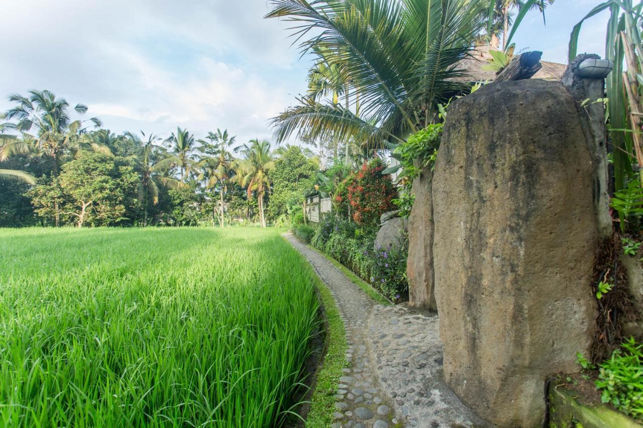 Ubud Luwih Nature Retreat Esterno foto